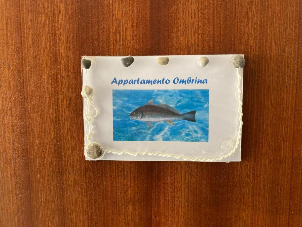 Appartement Mimi Sul Mare à Massa Lubrense Extérieur photo